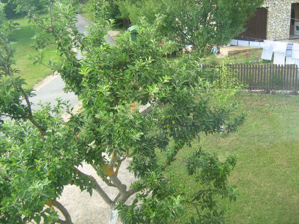 Apartment Jopa Korenica Εξωτερικό φωτογραφία