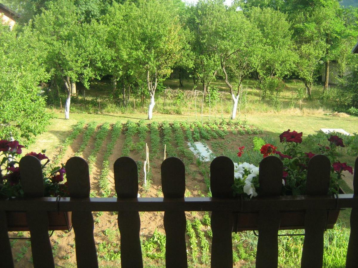 Apartment Jopa Korenica Εξωτερικό φωτογραφία
